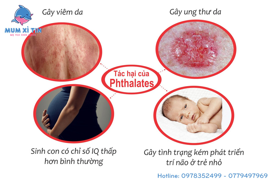 Phthalates là hóa chất có thể gây rối loạn cho hệ nội tiết, gây biến đổi gen dẫn đến dị tật thai nhi,